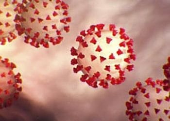 Update Covid-19 Purwakarta : ODP dan PDP Bertambah, Positif Tetap 19 Orang