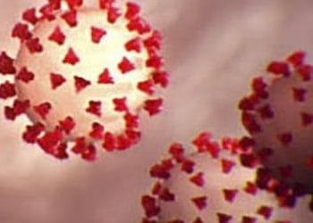 Tidak ada Penambahan Warga Positif Covid-19 Di Purwakarta