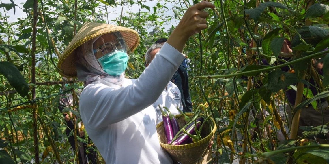 Bupati Purwakarta Pastikan Stok Bahan Pangan Aman Di Era New Normal