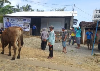 Gelorakan Semangat Berbagi dan Peduli Sesama, Ibas Diapresiasi Masyarakat