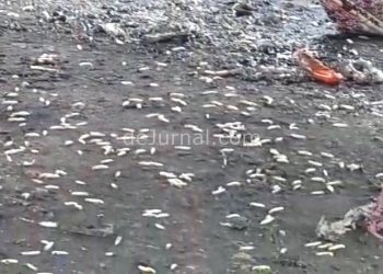 Tangkapan layar video, belatung yang berserakan di Pasar Banjaran.