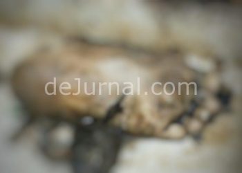 Potongan Telapak Kaki Ditemukan Di Pantai Muara Gembong, Korban Pesawat SJ182?