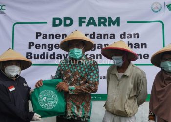 Aksi Peduli Dampak Corona, Dompet Dhuafa Bersama Kelompok Darul Arqam Panen Budidaya Ikan Gurame