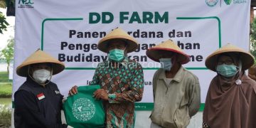 Aksi Peduli Dampak Corona, Dompet Dhuafa Bersama Kelompok Darul Arqam Panen Budidaya Ikan Gurame