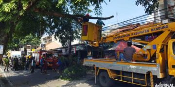 Kendaraan berat dari Disperkimtan dan Damkar mengevakuasi pohon yang tumbang di Desa Sayati, Kecamatan Margahayu. (Sopandi/dejurnal.com)