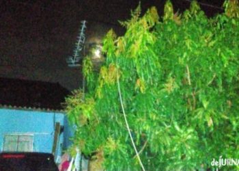 Tragis, Jelang Tahun Baru 2023, Dua Orang Tewas Tersengat Listrik