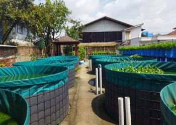 Pemdes Cangkuang Kulon Bangun Kolam Ikan di Terpal dan Sayuran untuk Lumbung Pangan Warga