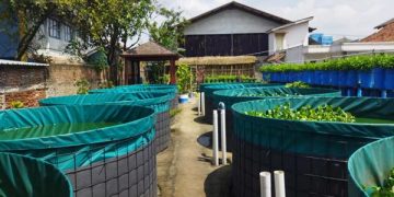 Pemdes Cangkuang Kulon Bangun Kolam Ikan di Terpal dan Sayuran untuk Lumbung Pangan Warga