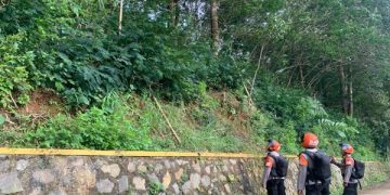 Pemantauan Tebing Rawan Longsor, Tim Sar Sat Brimob Polda Jabar Lakukan Pemantauan Tebing di Wilayah Desa Gadog