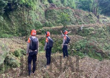 Tim Siaga Sar Kompi 3 Batalyon B Pelopor Sat Brimob Polda Jabar Cek Tebing Rawan Longsor di Cipanas