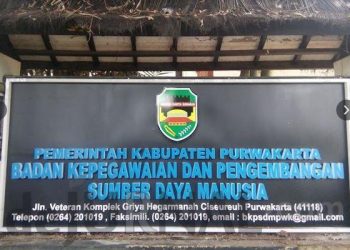 BKPSDM Purwakarta Bakal Jadi Pilot Project Digitalisasi Pelayanan Administrasi
