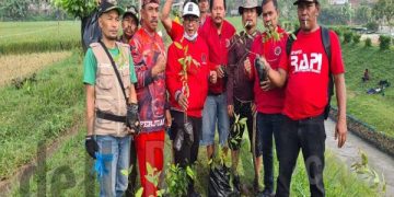 HUT PDI Perjuangan Ke-50, PAC Kecamatan Ciparay Peduli Lingkungan Laksanakan Tanam Pohon