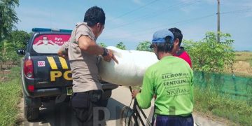 Polisi Bantu Kakek Tua Angkut Padi Ke Tempat Penggilingan Pakai Mobil Patroli