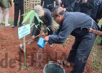 Guna Penelitian dan Pendidikan, Disdik Purwakarta Tanam Bambu di Lingkungan Sekolah