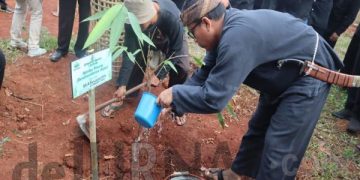 Guna Penelitian dan Pendidikan, Disdik Purwakarta Tanam Bambu di Lingkungan Sekolah