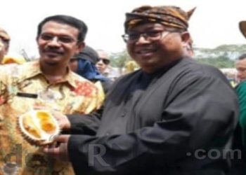 Cikakak, Daerah Dengan Potensi Durian Unggul