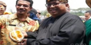 Cikakak, Daerah Dengan Potensi Durian Unggul