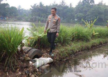 Polisi Ungkap Penanaman Diduga Pohon Ganja