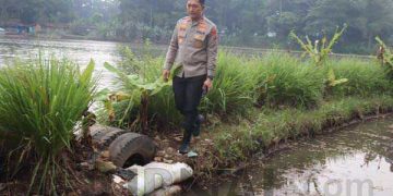 Polisi Ungkap Penanaman Diduga Pohon Ganja
