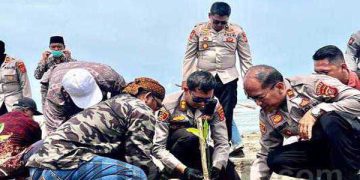 Polisi Tanam Pohon Mangrove Dalam Rangka Pelestarian Lingkungan