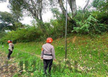 Sar Sat Brimob Polda Jabar Patroli Tempat Rawan Pohon Tumbang di Wilayah Lembang