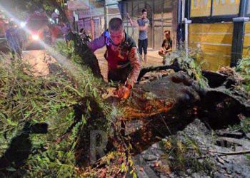 Kabid Humas Polda Jabar : Respon Cepat Polisi Bantu Evakuasi Pohon Tumbang