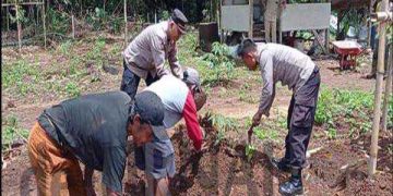 Kabid Humas Polda Jabar : Dukung Ketahanan Pangan, Polisi Bantu Warga Menanam Singkong di Lahan