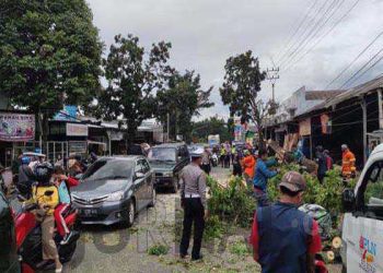 Respon Cepat, Polisi Evakuasi Pohon Tumbang di Cianjur