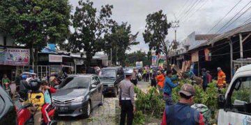 Respon Cepat, Polisi Evakuasi Pohon Tumbang di Cianjur
