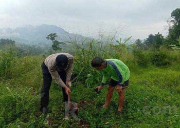 Kabid Humas Polda Jabar : Polisi di Bantarujeg Ajak Warga Budayakan Penanaman Pohon