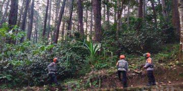 Tim Sar Sat Brimob Polda Jabar Cek Pohon Rawan Tumbang di Jalan Raya Lembang