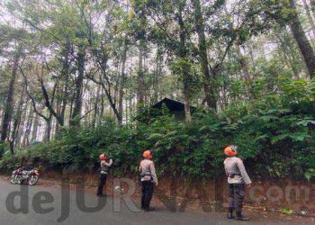 Tim Sar Sat Brimob Polda Jabar, Laksanakan Patroli Siaga Tanggap Bencana Alam Cek Pohon Rawan Tumbang