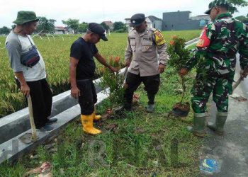 TNI-Polri Bantu Warga Tanam Pohon di Dusun Cikonju, Ciampel