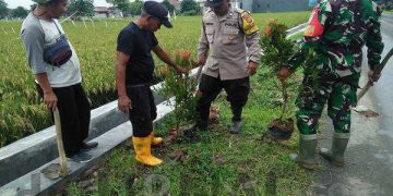 TNI-Polri Bantu Warga Tanam Pohon di Dusun Cikonju, Ciampel