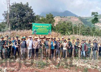 Dukung Ketahanan Pangan, Polisi Hadiri Panen Raya di Desa Ciherang
