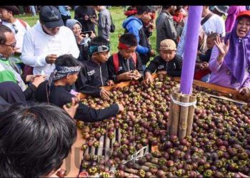 Manggis Wanayasa Kuasai Pasar Internasional