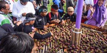 Manggis Wanayasa Kuasai Pasar Internasional