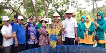 Hasil Program Ketahanan Pangan, Kades Sukaluyu Panen Ikan Lele Bersama warga