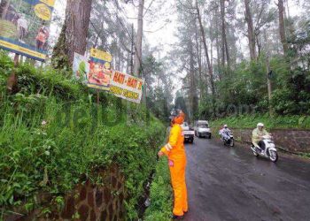 Anggota Tim Sar Sat Brimob Polda Jabar Cek Pohon Rawan Tumbang di Jalan Raya Lembang