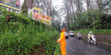 Anggota Tim Sar Sat Brimob Polda Jabar Cek Pohon Rawan Tumbang di Jalan Raya Lembang