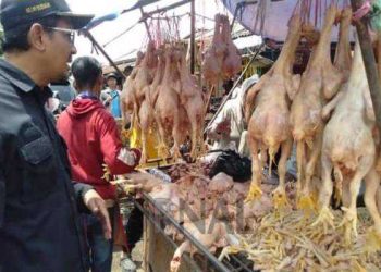 Wakil Bupati Garut dr. Helmi Budiman saat bertanya kepada salah satu pedagang daging ayam di Pasar Ciawitali, Rabu (22/3/2023). (Yohaness/dejurnal.com)