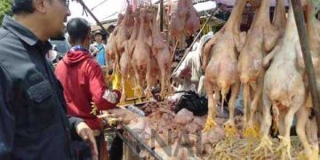 Wakil Bupati Garut dr. Helmi Budiman saat bertanya kepada salah satu pedagang daging ayam di Pasar Ciawitali, Rabu (22/3/2023). (Yohaness/dejurnal.com)