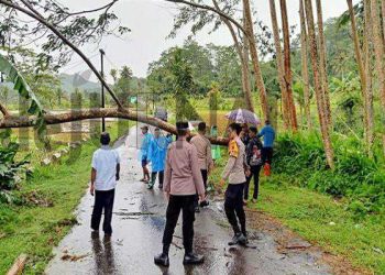 Respon Cepat Polisi Bantu Evakuasi Pohon Tumbang Yang Menghalangi Jalan