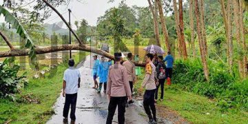 Respon Cepat Polisi Bantu Evakuasi Pohon Tumbang Yang Menghalangi Jalan