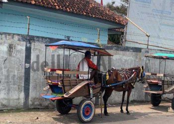 81 Kusir Delman Jalur  Limbangan – Malangbong Diberi Kompensasi, Diminta Tidak Operasi Selama Arus Mudik Lebaran
