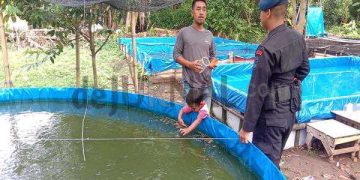 Sat Brimob Polda Jabar Sambangi Lokasi Peternakan Ikan Konsumsi di Desa Binaan Kampung Tangguh Wanasaba Kidul