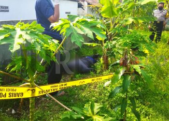 Sesosok Mayat Tengkurap di Kebun Singkong Jalan Manglid Margahayu