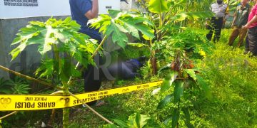 Sesosok Mayat Tengkurap di Kebun Singkong Jalan Manglid Margahayu