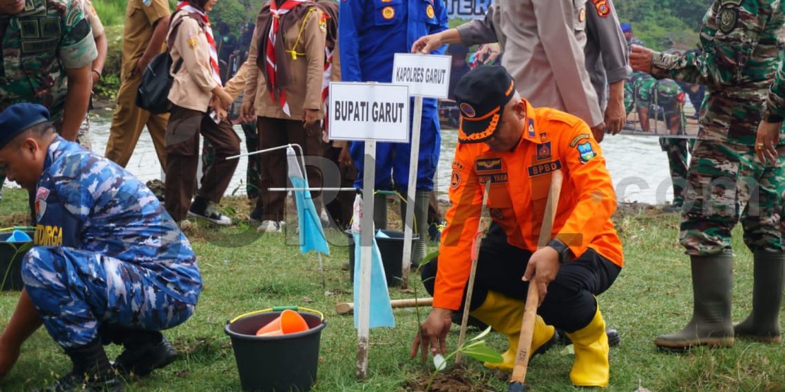 Cegah Abrasi, Ratusan Pohon Mangrove Ditanam di Pantai Selatan Garut
