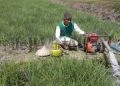 Ilustrasi petani sedang menyedot air sawah dengan mesin.